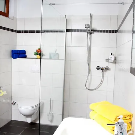 بيت ضيافة Schwarzwald-pension Fechtig 3*